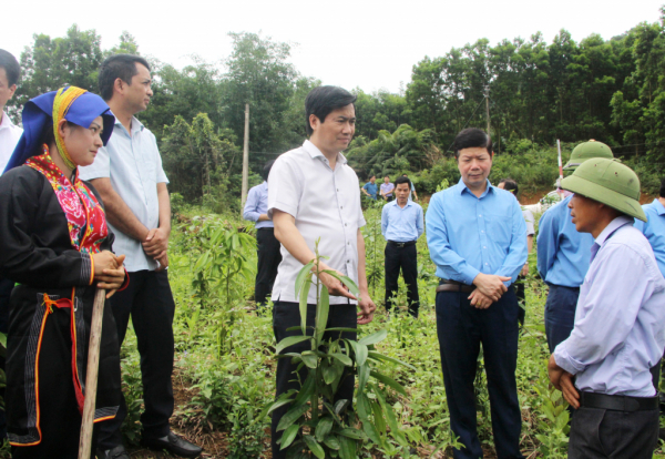 Lãnh đạo tỉnh Quảng Ninh kiểm tra chương trình xây dựng nông thôn mới tại một số địa phương - ảnh: Q.M.G